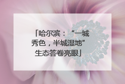 哈尔滨：“一城秀色，半城湿地”生态答卷亮眼