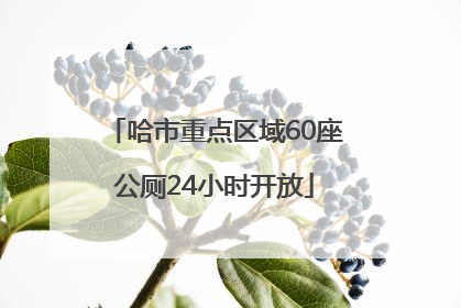 哈市重点区域60座公厕24小时开放