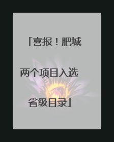 喜报！肥城两个项目入选省级目录