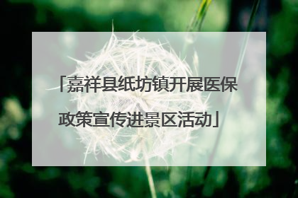 嘉祥县纸坊镇开展医保政策宣传进景区活动