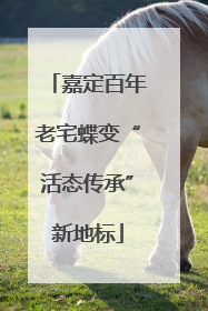 嘉定百年老宅蝶变“活态传承”新地标