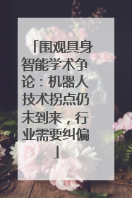 围观具身智能学术争论：机器人技术拐点仍未到来，行业需要纠偏
