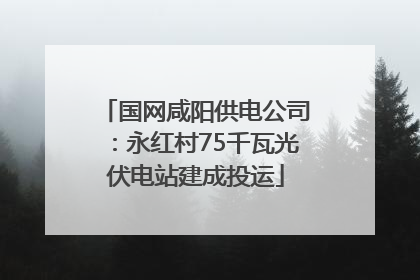 国网咸阳供电公司：永红村75千瓦光伏电站建成投运