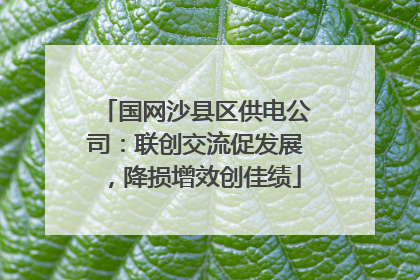 国网沙县区供电公司：联创交流促发展，降损增效创佳绩
