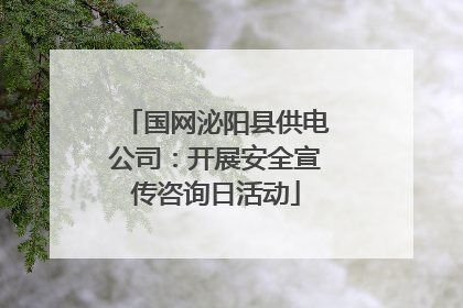 国网泌阳县供电公司：开展安全宣传咨询日活动