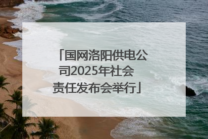 国网洛阳供电公司2025年社会责任发布会举行