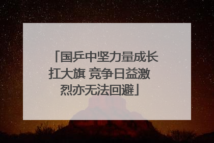 国乒中坚力量成长扛大旗 竞争日益激烈亦无法回避