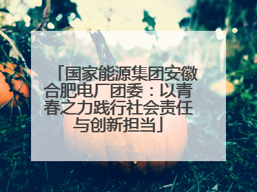 国家能源集团安徽合肥电厂团委：以青春之力践行社会责任与创新担当
