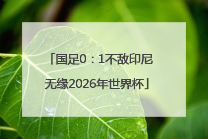 国足0：1不敌印尼 无缘2026年世界杯