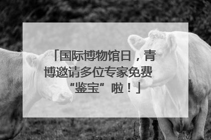 国际博物馆日，青博邀请多位专家免费“鉴宝”啦！