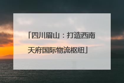 四川眉山：打造西南天府国际物流枢纽