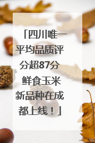 四川唯一平均品质评分超87分 鲜食玉米新品种在成都上线！