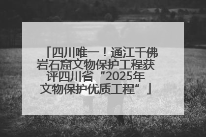 四川唯一！通江千佛岩石窟文物保护工程获评四川省“2025年文物保护优质工程”