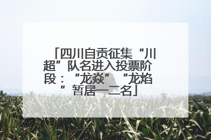 四川自贡征集“川超”队名进入投票阶段：“龙焱”“龙焰”暂居一二名