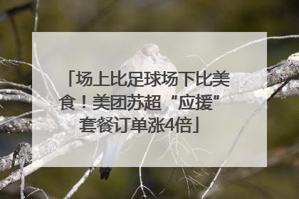 场上比足球场下比美食！美团苏超“应援”套餐订单涨4倍