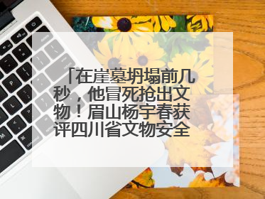 在崖墓坍塌前几秒，他冒死抢出文物！眉山杨宇春获评四川省文物安全守护者