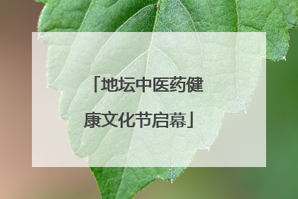 地坛中医药健康文化节启幕