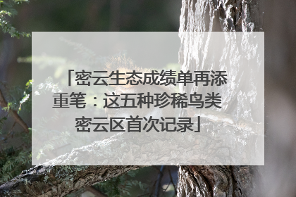 密云生态成绩单再添重笔：这五种珍稀鸟类密云区首次记录