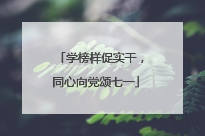 学榜样促实干，同心向党颂七一