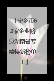 宁乡市62家企业跻身湖南省专精特新榜单！