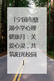 宁国市鼎湖小学心理健康月：关爱心灵，共筑阳光校园