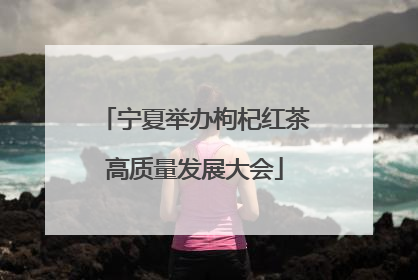 宁夏举办枸杞红茶高质量发展大会