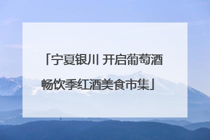 宁夏银川 开启葡萄酒畅饮季红酒美食市集