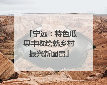 宁远：特色瓜果丰收绘就乡村振兴新图景