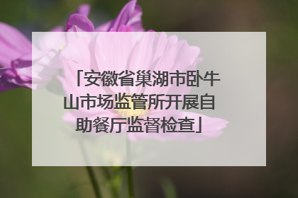 安徽省巢湖市卧牛山市场监管所开展自助餐厅监督检查