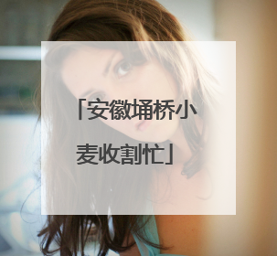 安徽埇桥小麦收割忙