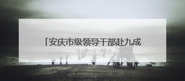 安庆市级领导干部赴九成监狱开展警示教育活动
