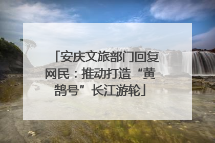 安庆文旅部门回复网民：推动打造“黄鹄号”长江游轮