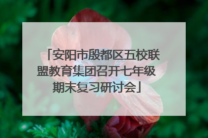 安阳市殷都区五校联盟教育集团召开七年级期末复习研讨会