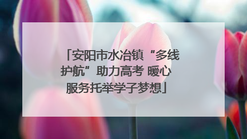 安阳市水冶镇“多线护航”助力高考 暖心服务托举学子梦想