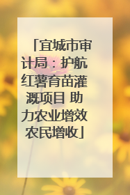 宜城市审计局：护航红薯育苗灌溉项目 助力农业增效农民增收