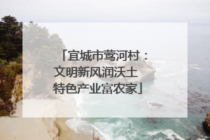 宜城市莺河村：文明新风润沃土 特色产业富农家