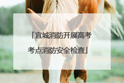 宜城消防开展高考考点消防安全检查