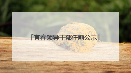 宜春领导干部任前公示