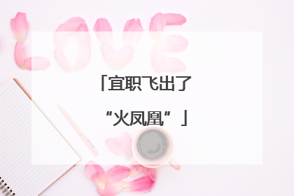 宜职飞出了“火凤凰”