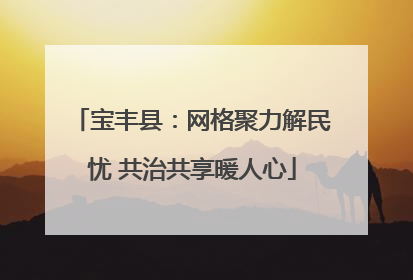 宝丰县：网格聚力解民忧 共治共享暖人心