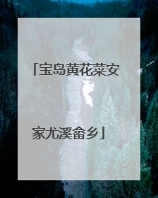 宝岛黄花菜安家尤溪畲乡