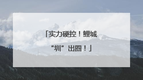 实力硬控！鲤城“圳”出圈！