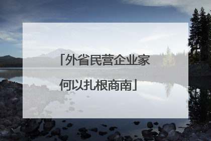 外省民营企业家何以扎根商南
