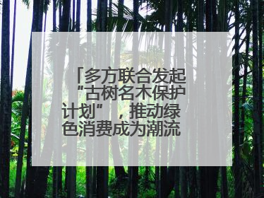 多方联合发起“古树名木保护计划”，推动绿色消费成为潮流丨新经济观察