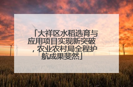 大祥区水稻选育与应用项目实现新突破，农业农村局全程护航成果斐然