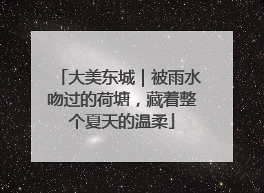 大美东城｜被雨水吻过的荷塘，藏着整个夏天的温柔