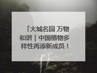 大城名园 万物和谐｜中国植物多样性再添新成员！它只在西藏墨脱
