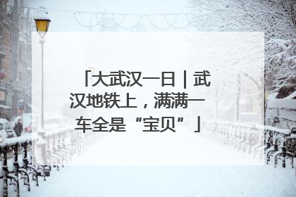 大武汉一日｜武汉地铁上，满满一车全是“宝贝”