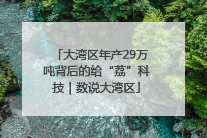 大湾区年产29万吨背后的给“荔”科技｜数说大湾区