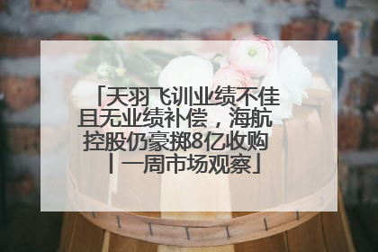天羽飞训业绩不佳且无业绩补偿，海航控股仍豪掷8亿收购丨一周市场观察
